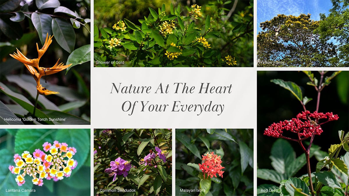 Nature At The Heart Of Your Everyday Nature At The Heart Of Your Everyday
