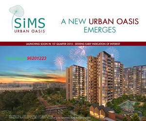 Sims Urban Oasis
