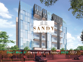 Sandy Eight sandy eight