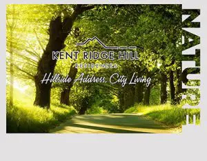 Kent Ridge Hill Residences Feature Condo