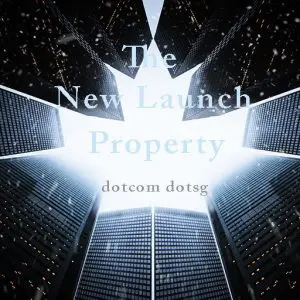 THE NEW LAUNCH PROPERTY