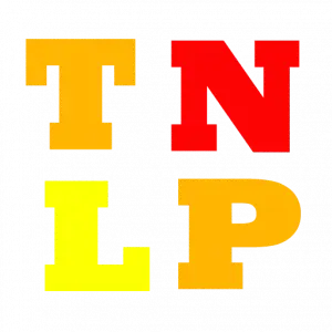 The New Launch Property Logo