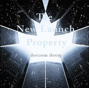The New Launch Property