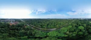 Springleaf Residennce Panorama