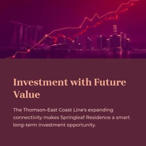 Investment with the future
