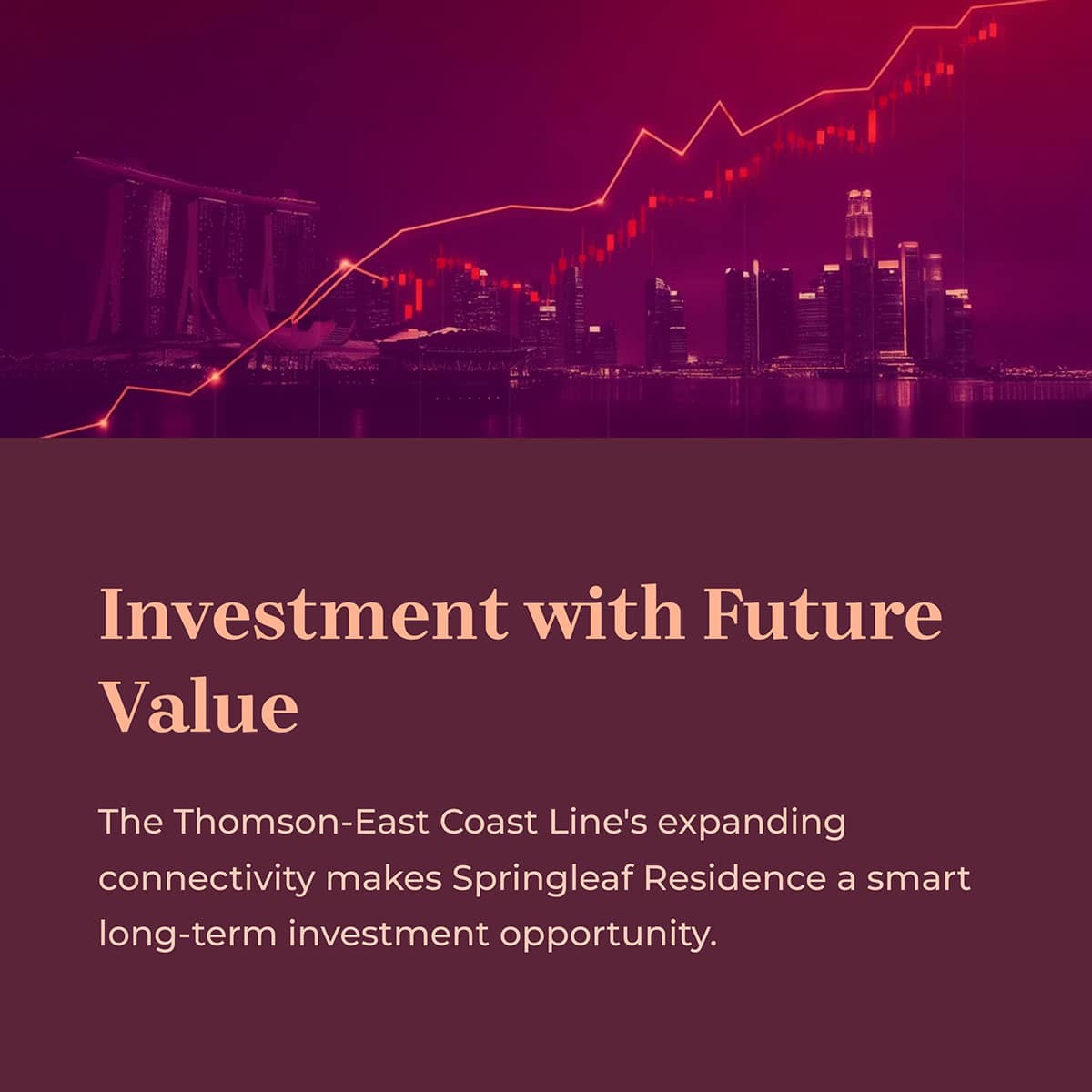 Investment with the future