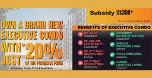 Benefits of Executiv Condo