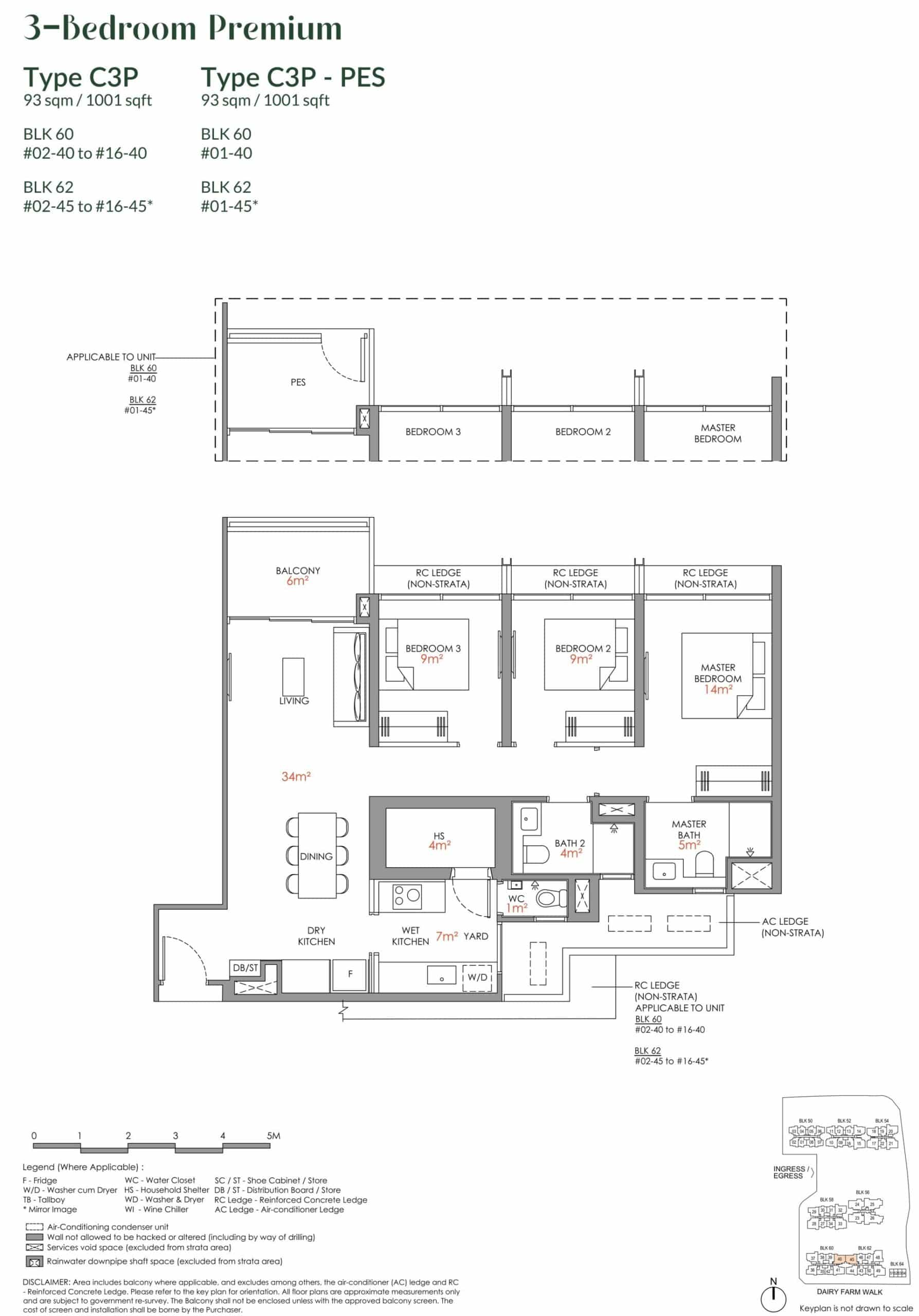 Narra Residences Floor Plan Type C3P