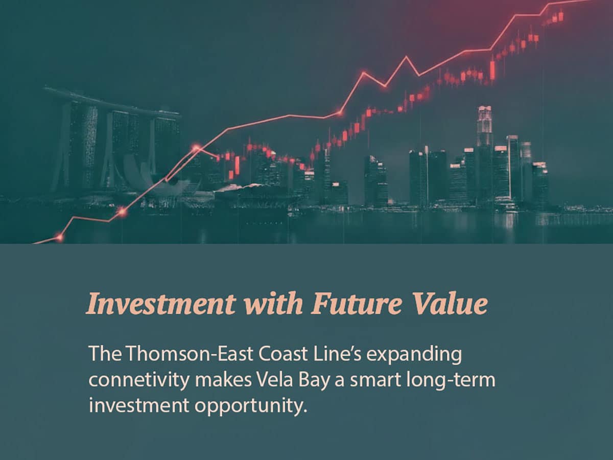 Vela Bay Investment Potential